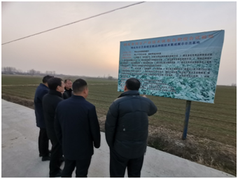 明光市政府關心明光酒業(yè)推進綠豆基地建設